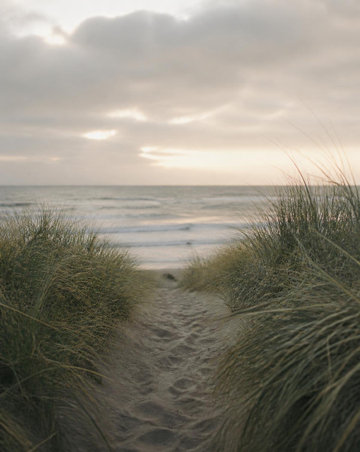 A quiet path through dune grass at dawn